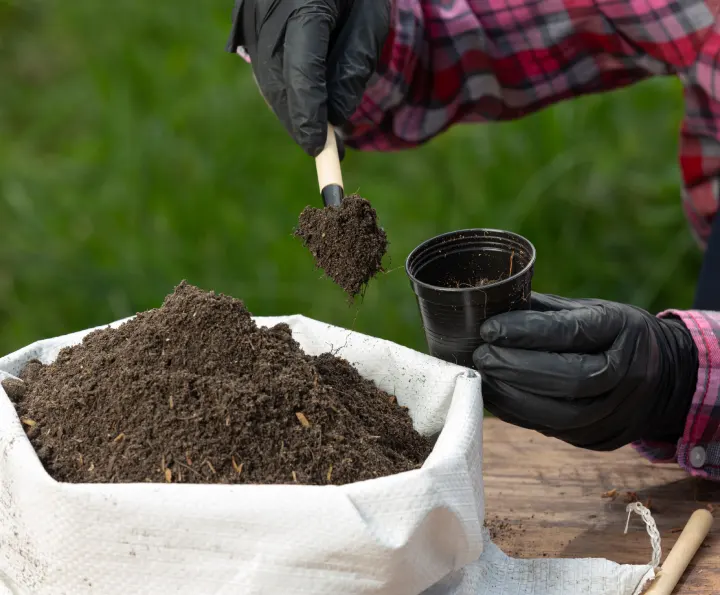 Soil Testing